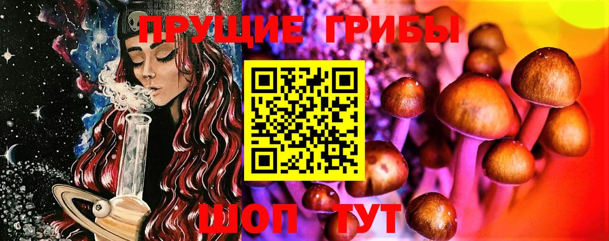 Ипатово  Псилоцибиновые грибы ЛСД  Вход с VPN 